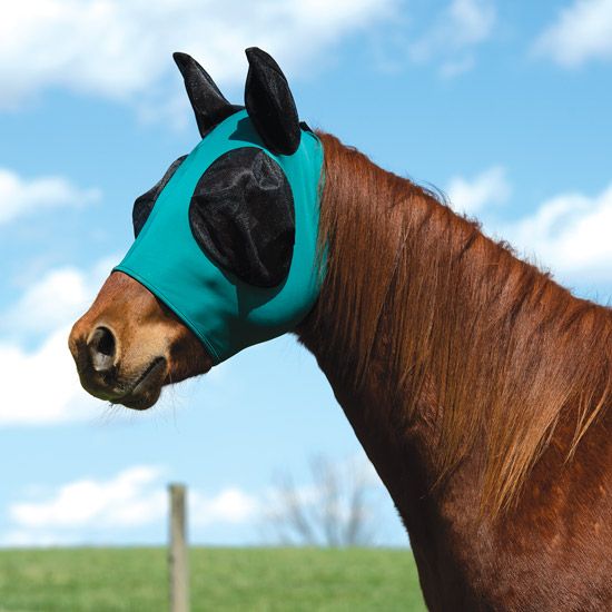 Weaver Leather Cooling Teal Fly Mask